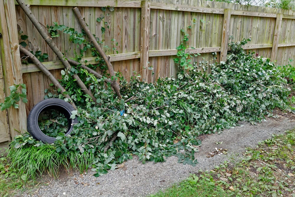 Yard Derbis Removal - Yard Waste Services -